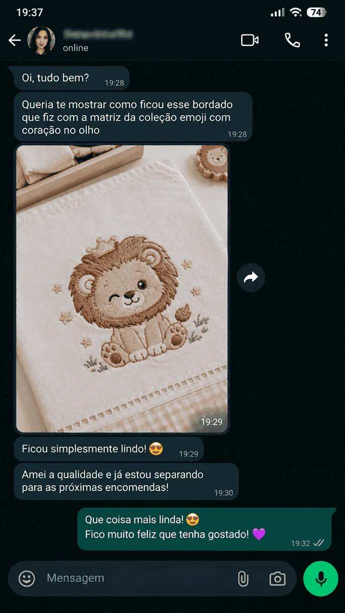 Toalha bordada com filhote de leão mostrada em conversa de mensagens